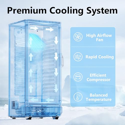 Icevival 6 cu.ft Commercial Refrigerators, Display Fridge With Double-Tempered Glass Door, Beverage Cooler For Bar, Office, Restaurant, Outdoor Beverage Refrigerator With Locking, Key & LED - View 3 | Fridge.com