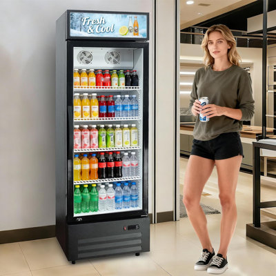 9.1 Cu.ft Commercial Beverage Cooler with RGB LED Lights & Remote - 280 Can Glass Door Display Fridge, Frost-Free Air-Cooled Refrigerator with Top Lig — FIN-0017995 | Fridge.com