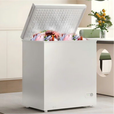 10.0 Cu Ft Garage Ready Chest Freezer, Top Open Door Deep Freezer With Adjustable Temp Control Quiet Operation, Energy Efficient, Black/White | Fridge.com