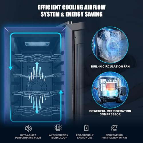 12 Bottle Compressor Wine Cooler Refrigerator With Lock, Freestanding Wine Fridge, 41°F-64°F Digital Temperature Control, Large Wine Cellar For Red, White, Champagne, And Sparkling Wine – Black - View 3 | Fridge.com