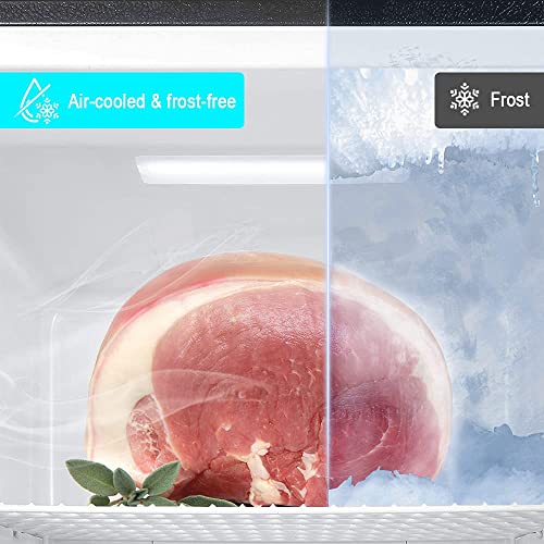 Smeta 21 cu. ft Upright Freezer, Stand Up Convertible Freezer, Large Capacity, Energy Star, Frost Free Stainless Steel Garage Freezerless Refrigerator, All Refrigerator - View 5 | Fridge.com