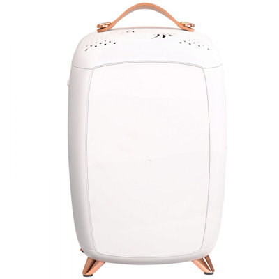 Mini Fridge for Bedroom, 6L Luxury Skin Care Fridges with Mirror and LED Light, AC/DC Cosmetic Fridge for Office Dorm Car, Small Makeup Refrigerator f | Fridge.com
