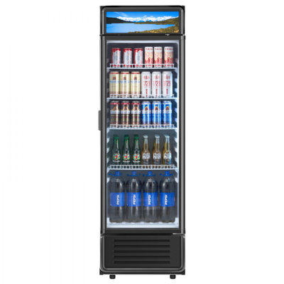 Commercial Merchandiser Refrigerator 9.7 CU.FT Glass Door Beverage Refrigerator | Fridge.com
