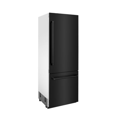 ZLINE RBIV-BS-30 | Fridge.com